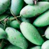 Green Mangoes