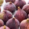 FIGS