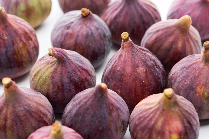 FIGS FIGS